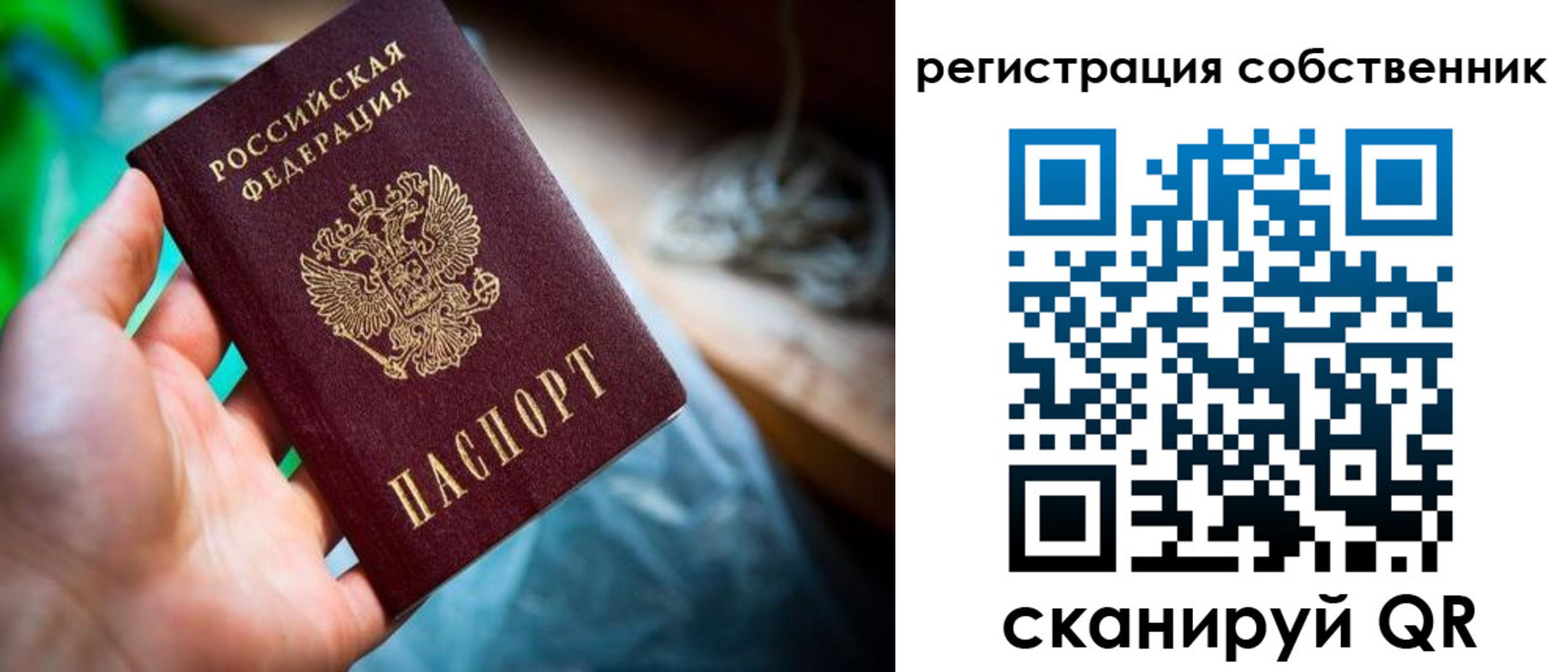 прописка гарантия в Ржеве